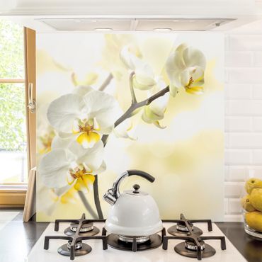 Panel szklany do kuchni - Gałąź Orchidei