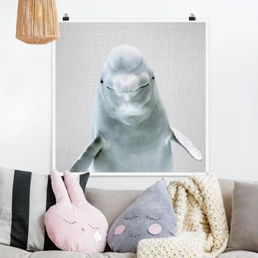 Plakat reprodukcja obrazu - Beluga Whale Bob