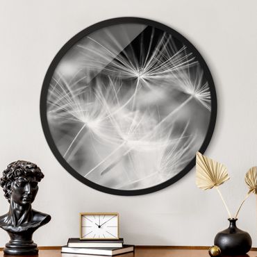 Okrągły obraz w ramie - Moving Dandelions Close Up On Black Background