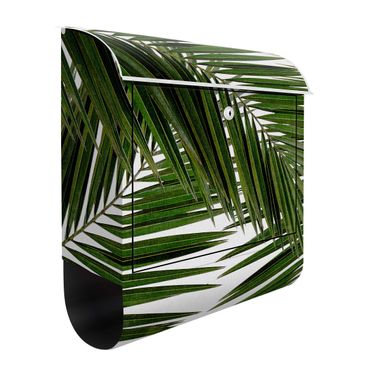 Skrzynka na listy - Widok przez zielone liście palmy