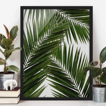 Plakat w ramie - Widok przez zielone liście palmy