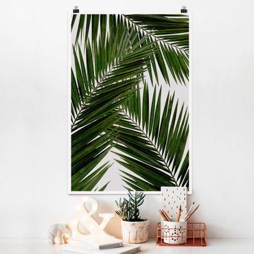 Plakat - Widok przez zielone liście palmy
