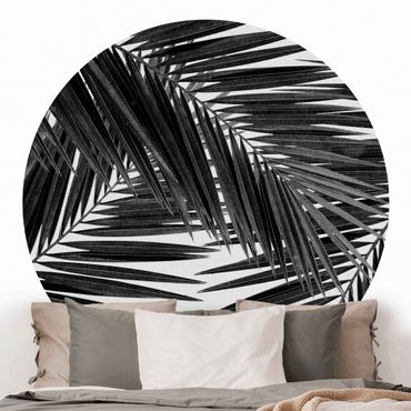Okrągła tapeta samoprzylepna - Widok na liście palmy, czarno-biały