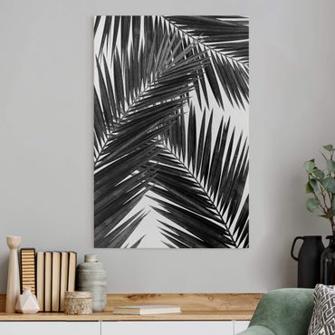 Obraz na płótnie - Widok na liście palmy, czarno-biały