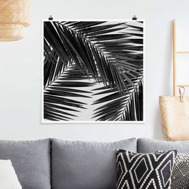 Plakat - Widok na liście palmy, czarno-biały