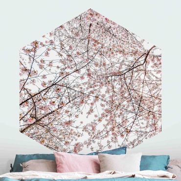 Fototapeta samoprzylepna heksagon - Glance Upon Blossoming Cherry Branches