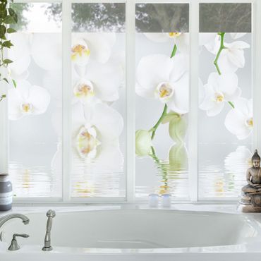 Folia okienna - Orchidea wellness - Orchidea biała
