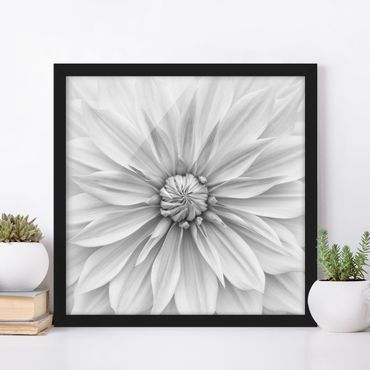 Plakat w ramie - Kwiat botaniczny w kolorze białym