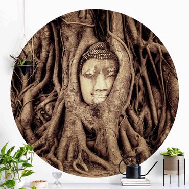 Okrągła tapeta samoprzylepna - Budda w Ayutthaya otoczony korzeniami drzew w kolorze brązowym
