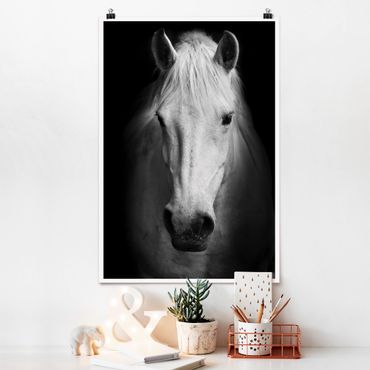 Plakat - Marzenie o koniu