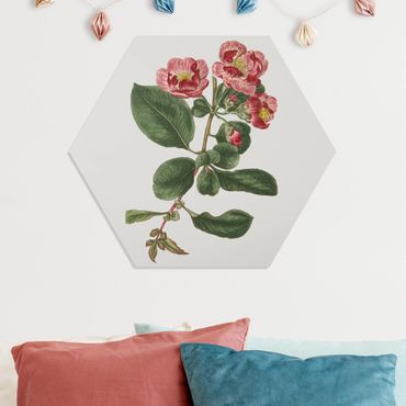 Obraz heksagonalny z Forex - Biżuteria z kwiatów I