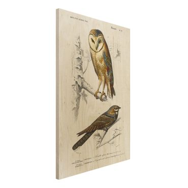 Obraz z drewna - Tablica edukacyjna w stylu vintage Sowa i jaskółka