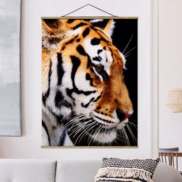 Plakat z wieszakiem - Tiger Beauty