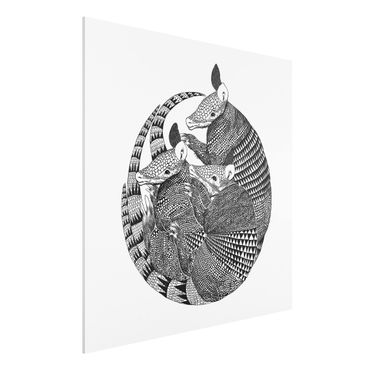 Obraz Forex - Ilustracja Armadillos czarno-biały Pattern