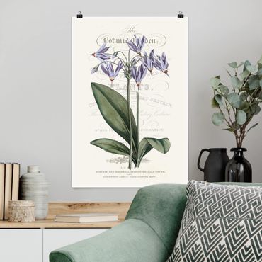 Plakat - Tablica botaniczna - Kwiat bogów