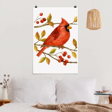 Plakat - Ptaki i jagody - Czerwony kardynał