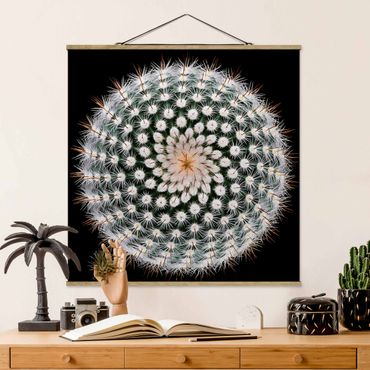 Plakat z wieszakiem - Kwiat kaktusa