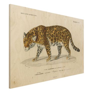 Obraz z drewna - Tablica edukacyjna w stylu vintage Jaguar