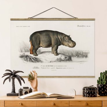 Plakat z wieszakiem - Tablica edukacyjna w stylu vintage Hipopotam