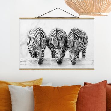 Plakat z wieszakiem - Zebra Trio czarno-biała