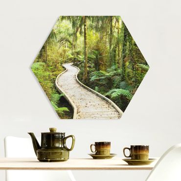 Obraz heksagonalny z Forex - Ścieżka w dżungli