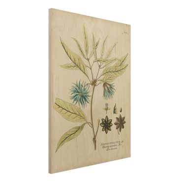 Obraz z drewna - Botanika w stylu vintage z niebieską gwiazdą anyżu