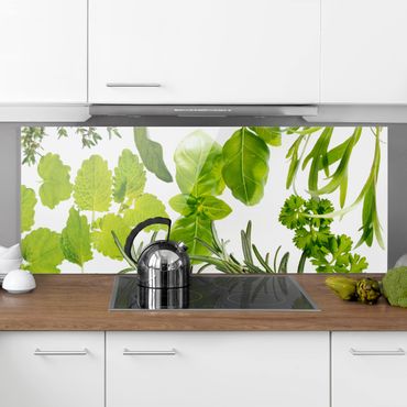 Panel szklany do kuchni - Różne zioła