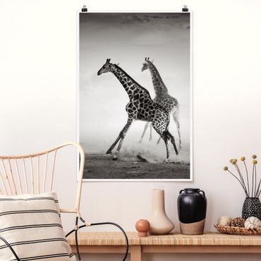 Plakat - Polowanie na żyrafę