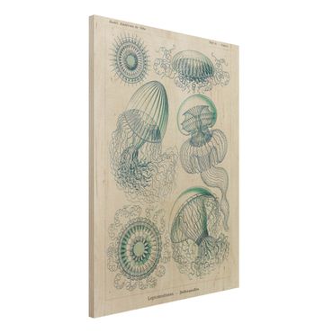 Obraz z drewna - Tablica edukacyjna w stylu vintage Meduza w kolorze niebieskim