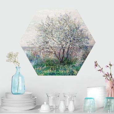 Obraz heksagonalny z Forex - Claude Monet - wiosenny nastrój