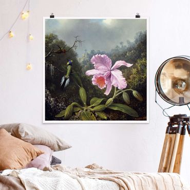 Plakat - Martin Johnson Heade - Martwa natura z orchideą i dwoma kolibrami