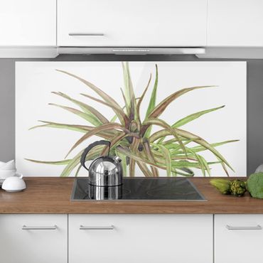 Panel szklany do kuchni - Akwarela z roślinami powietrznymi II