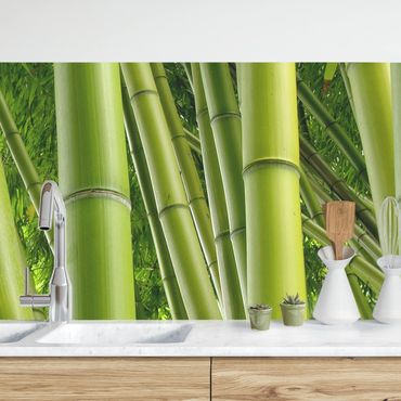 Panel ścienny do kuchni - Drzewa bambusowe Nr 1