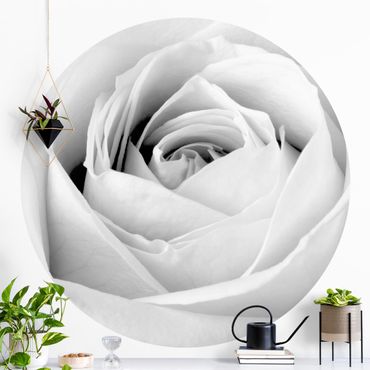 Okrągła tapeta samoprzylepna - Róża z bliska