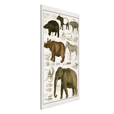 Tablica magnetyczna - Tablica edukacyjna w stylu vintage Słonie, zebry i nosorożce