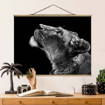 Plakat z wieszakiem - Portret lwicy