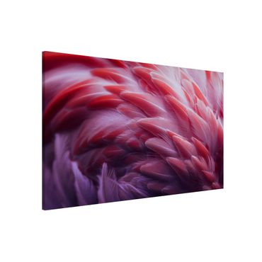 Tablica magnetyczna - Zbliżenie na pióra flaminga