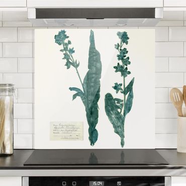 Panel szklany do kuchni - Pressed Flowers - Dogtooth