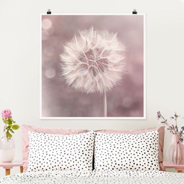 Plakat - dandelion bokeh różowy