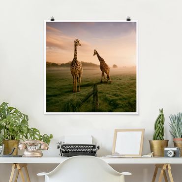 Plakat - Surrealistyczne żyrafy
