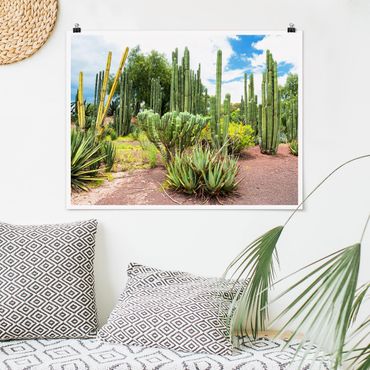 Plakat - Krajobraz z kaktusami