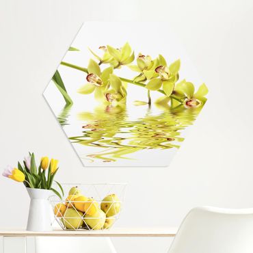 Obraz heksagonalny z Forex - Eleganckie wody orchidei
