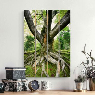 Obraz z drewna - Stare drzewo