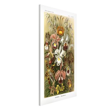 Tablica magnetyczna - Tablica edukacyjna w stylu vintage Orchidea