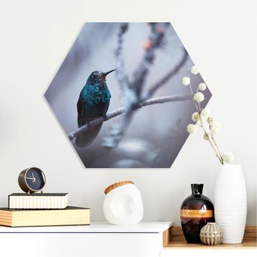 Obraz heksagonalny z Forex - Koliber w zimie