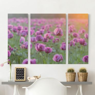 Obraz na płótnie - Fioletowa łąka z makiem opium wiosną