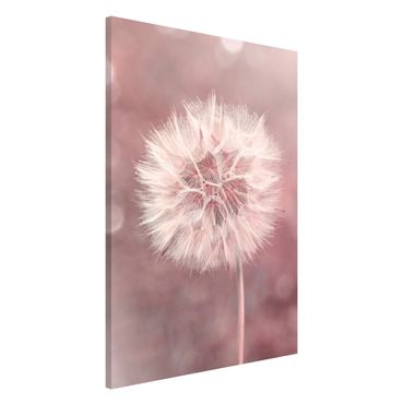 Tablica magnetyczna - dandelion bokeh różowy