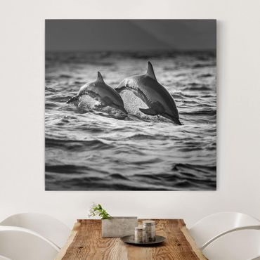 Obraz na płótnie - Dwa skaczące delfiny