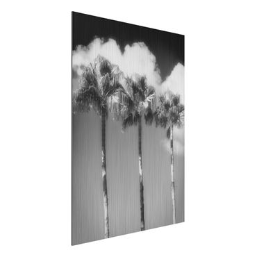 Obraz Alu-Dibond - Palmy na tle nieba, czarno-białe