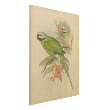 Obraz z drewna - Ilustracja w stylu vintage Ptaki tropikalne II